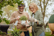 © Miljan Živković - Happy mature couple gardening and watering potted plants outdoor