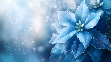 Wall Mural - blue poinsettia flowers bloom amidst falling snowflakes and soft, misty light. perfect for winter ho