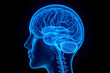 © Mudrikah - Science Background Featuring Human Silhouette and Radiant Brain