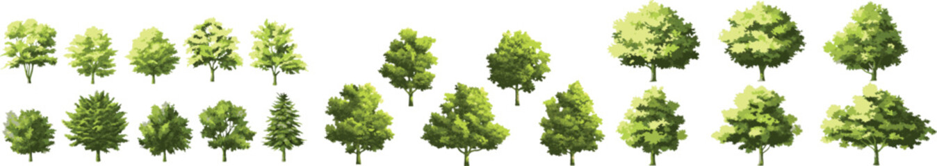 diverse tree vector illustration set