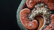© Rupak - Kidney cleansing technique shared for preventing painful bladder stone issue image