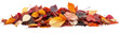 © kageyama - a vibrant pile of autumn leaves in various shades of red. orange. and yellow. showcasing the beauty of fall foliage against a clean white background the essence of the season and can be used for theme