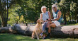 © peopleimages.com - Mature couple, dog and park with phone and chat in retirement with social media and pet. Morning, love and care of interracial relationship with animal, fitness break and tech with golden retriever