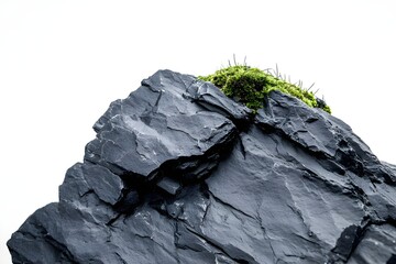rock with moss: a rugged dark gray rock formation, textured and weathered, with a small patch of vib
