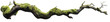 © Khawla - weathered tree branch, covered in patches of vibrant green moss, isolated on transparent background.