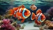 © Maruf - Blue Tang Fish Swimming in Coral Reef Underwater Scene