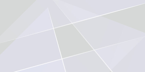 Wall Mural - Abstract white and gray background. smooth abstract background, blurred pattern. Light pale vector background. Abstract pale geometric pattern eps 10