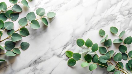 Aufkleber - Serene Green Eucalyptus Branches on Elegant Marble Background, Ideal for Wellness or Spa Branding