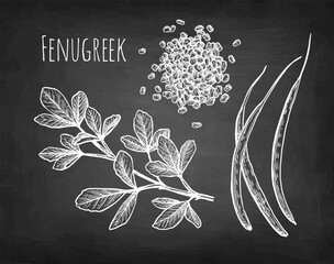 Wall Mural - fenugreek chalk sketch