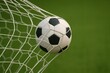 © Svetlana - Classic black and white soccer ball caught in goal net on green field, symbolizing scoring and victory in football.