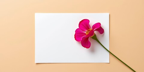 Wall Mural - Blank paper, envelope with flower, beige background, overhead shot, copy space, shot, blank