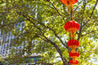 © Austockphoto - chinese lanterns at a chinese new year celebration in melbourne cbd with a building and tree