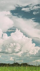 Wall Mural - Rain Rainy Clouds Above Countryside Rural Field Landscape With Young Green Wheat Sprouts In Spring Summer Cloudy Day. Heavy Clouds Above Agricultural Field. Young Wheat Shoots time-lapse, timelapse.