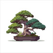 © tam - Detailed illustration of a miniature bonsai tree in a pot.