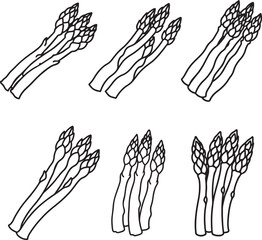 set of asparagus line art, black outline, vector and illustration, coloring book page line art drawing