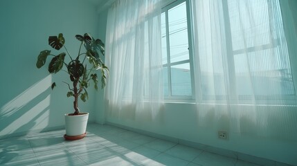 Aufkleber - Sunlight pours into a minimalist room with white walls and a potted plant, casting soft shadows. The atmosphere feels serene and airy, perfect for relaxation
