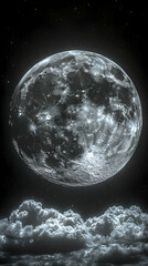 Wall Mural - The full moon radiant and cratered hangs above fluffy clouds in a night sky dotted with distant stars