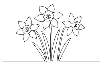 Poster - Daffodil flowers blooming in a gentle arrangement on a spring day showcasing their vibrant beauty