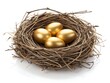 © MdAli - Four Shiny Golden Eggs Lying Securely in a Realistic Bird Nest on White Background