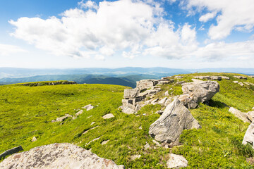 Wall Mural - landscape with alpine meadow on a sunny morning. rocks on green hills of carpathian mountain nature.