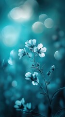 Leinwandbilder - Soft Focus Teal and Aquamarine Bokeh Background with Delicate White Flowers