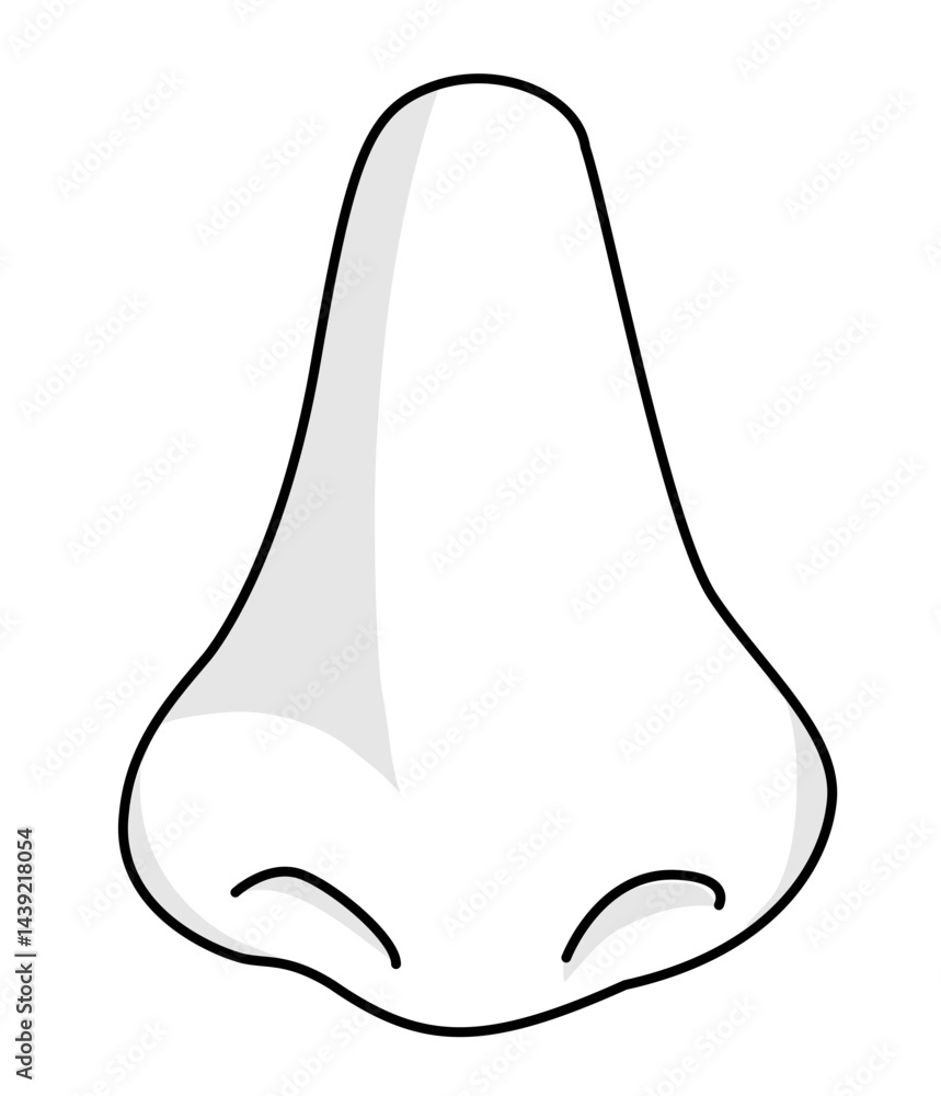 Human Nose Anatomy And Physiology The Significance Of Smelling Stock