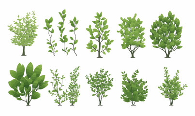 Wall Mural - minimalist bush vector set with greenery illustrations for design projects