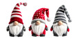 © ArtPixel-Portfolio - Three Christmas gnomes wearing different hats isolated on transparent background