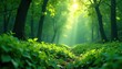 © AMZi StudiO - Deep verdant green with subtle light diffusion, mysterious, texture, foliage