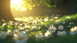 © smevg - Sunlit Daisy Meadow: A Breathtaking Spring Landscape