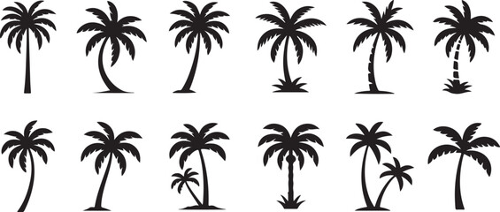 Palm tree icon set. Tropical palm trees in varying sizes Vector silhouette on a transparent background.