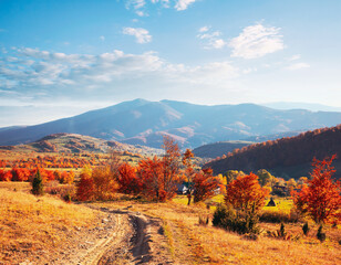 Aufkleber - Breathtaking view of the colorful slopes of distant hills illuminated by the sun's rays. Carpathian mountains, Ukraine, Europe.