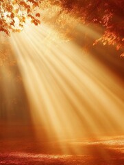 Poster - Sunlight filtering through the autumnal forest canopy creating beams of light and warmth in autumn scene