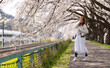 © LT - woman visit visit the cherry blossom in  hitome senbonzakura in sendai, Japan