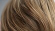 © Picstings - Close-up of light brown hair