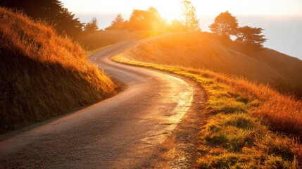 Wall Mural - Scenic winding road illuminated by golden sunlight through trees offering a serene journey adventure and travel landscape with nature and tranquility