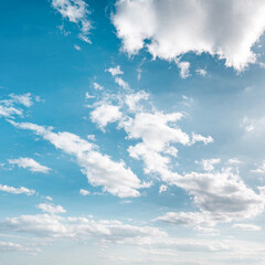 Wall Mural - white clouds for a background.
