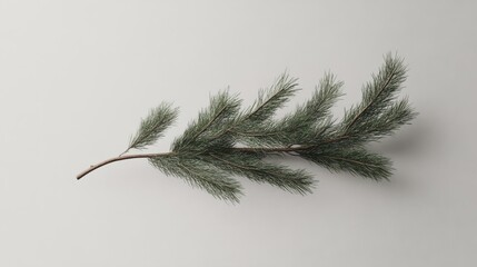 Wall Mural - Minimalist christmas card design featuring pine branch and ornament.
