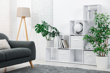 Poster - stylish living room with shelving unit, sofa and green houseplants