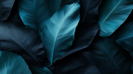 Poster - Close up of a bunch of leaves with a blue background. The leaves are dark and the background is a deep shade of blue. The leaves are arranged in a way that creates a sense of depth