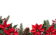 © TheseusStock - Christmas red poinsettia flowers, pine cones, and mistletoe on a white background with copy space for text or design.