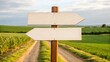© Weerapat - Two blank wooden signposts point in opposite directions at a rural crossroads with fields and a dirt road under a cloudy sky.