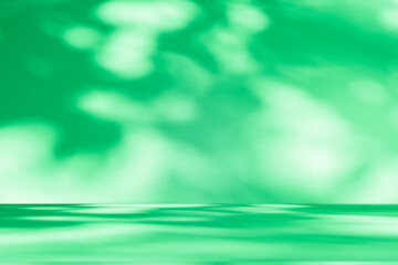 Leinwandbilder - Wall interior background, studio and backdrops show products. with leaf shadow from window color green and white. background for text insertion and presentation of product	
