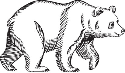 Wall Mural - a minimalist vector illustration of a bear created with continuous line art style walking towards th