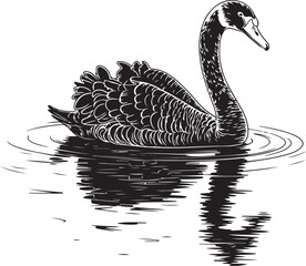 Wall Mural - a graceful continuous line vector illustration of a swan swimming on the water surface depicted in m