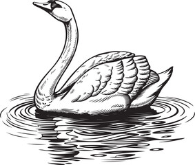 Wall Mural - a serene vector drawing of a swan bird on the water designed in continuous black line art style show