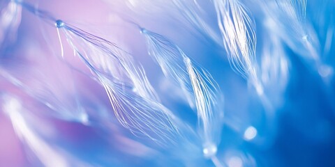 Poster - Abstract blue and purple fiber optic light streaks background.