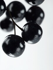 Aufkleber - Close-up of dark, shiny berries on a branch against a bright background.