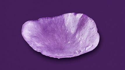Aufkleber - Single purple flower petal with water droplets on a deep purple background.