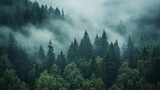 Misty mountain forest landscape with lush green trees fog fir sky pine view calm wild woods cloud